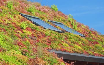 Nantlle living roof systems