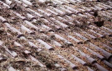 Nantlle roof cleaning companies