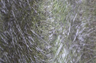 Nantlle fibreglass roof work